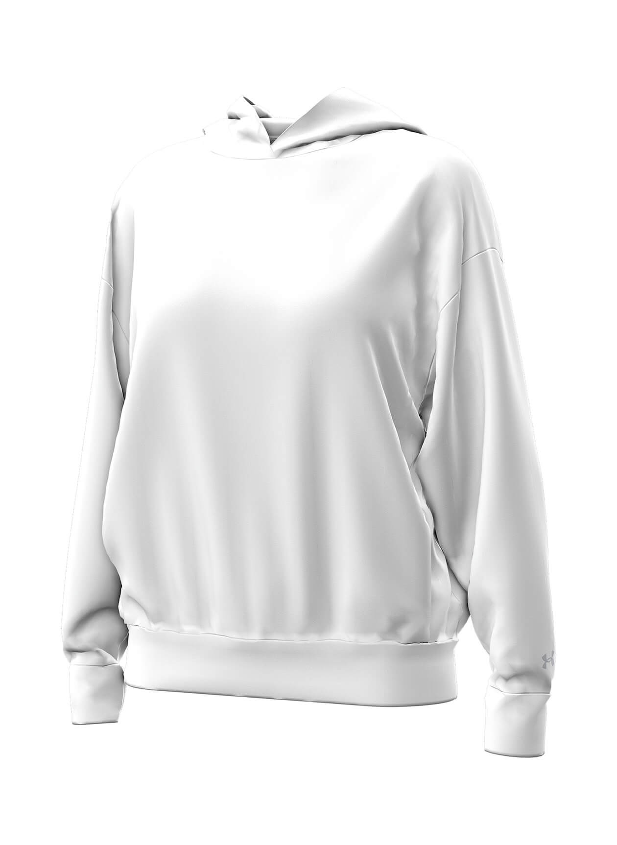 Under Armour Women's Icon Fleece Hoodie