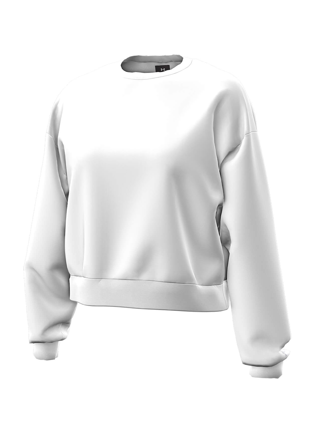 Under Armour Women's Icon Fleece Crewneck Sweatshirt